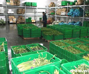 塑料周轉(zhuǎn)筐能用多少年?